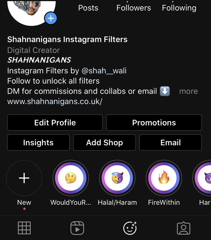 Shahnanigans Instagram feed filer tab
